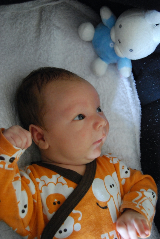 with Miffy in carry cot.jpg